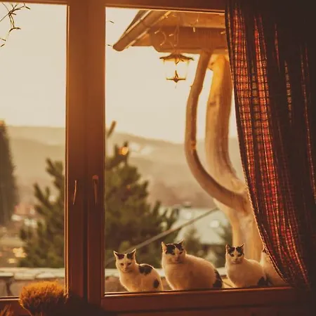 Goralski Dwor ドゥシュニキ・ズドルイ