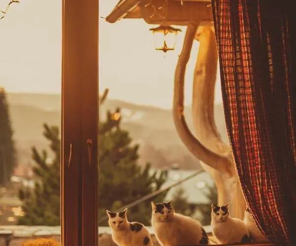 Goralski Dwor Duszniki Zdrój